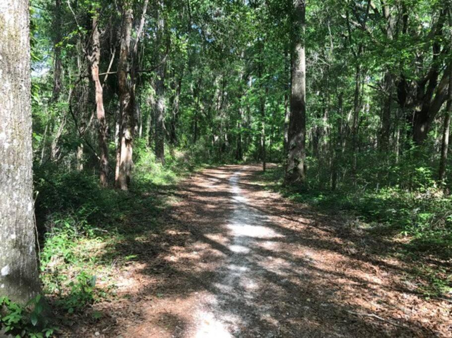 Town & Country Hideaway - 1Br/1Ba, 20 Min Famu/Fsu Lägenhet Tallahassee Exteriör bild